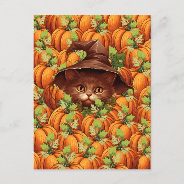 THANKSGIVING PUMPKINS CUTE CAT POSTCARD (Front)