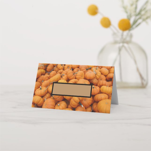 Thanksgiving pumpkins place card (Front)