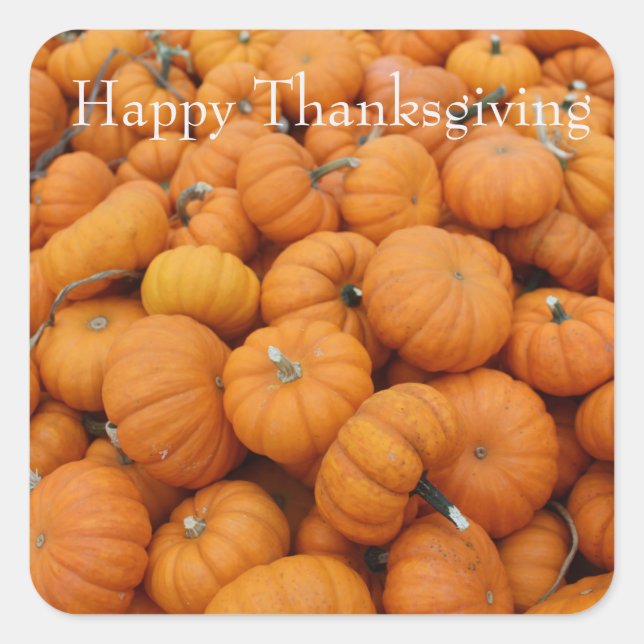 Thanksgiving pumpkins square sticker (Front)
