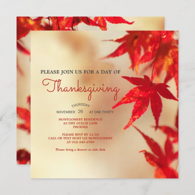 Thanksgiving Red Autumn Leaves Border Template (Front/Back)