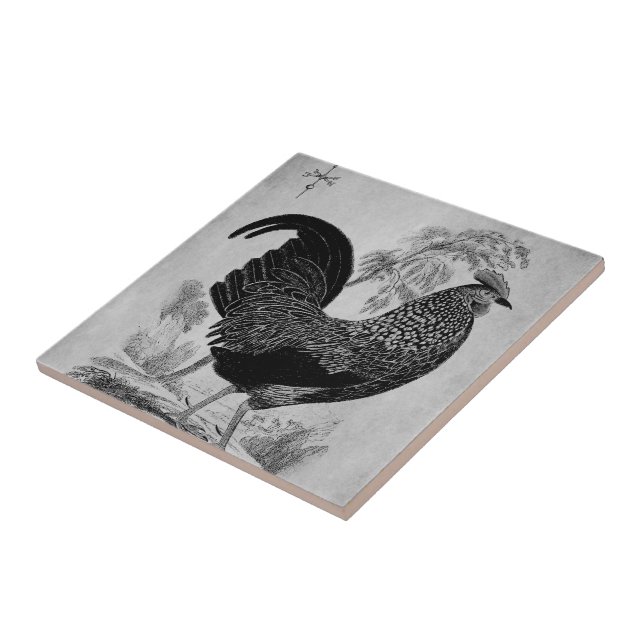 Thanksgiving Rooster in Monochrome Ceramic Tile (Side)