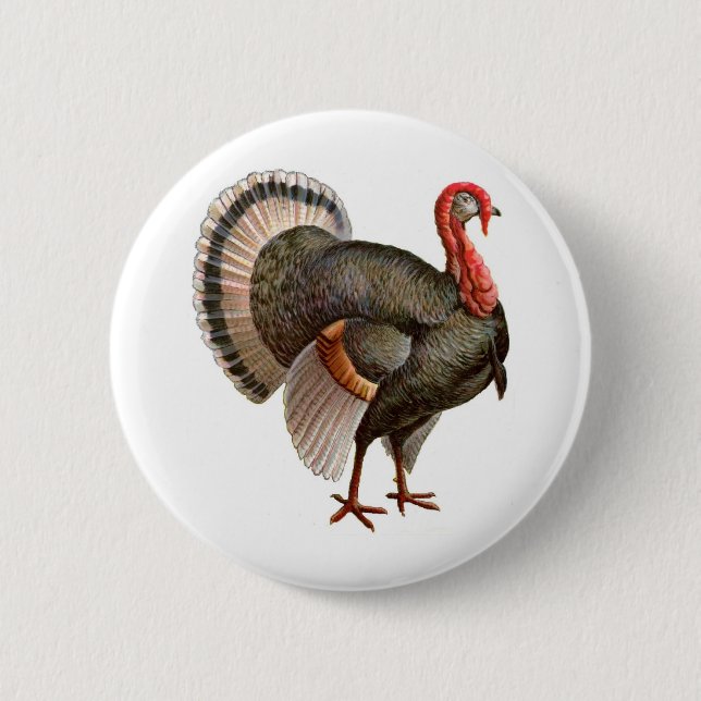 THANKSGIVING TURKEY 6 CM ROUND BADGE (Front)