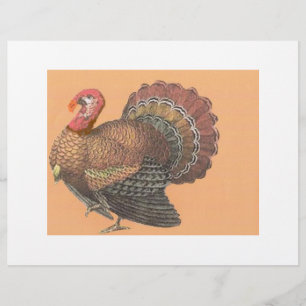 Thanksgiving Turkey Flyer