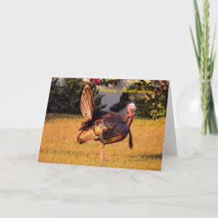 Thanksgiving Turkey Holiday Card