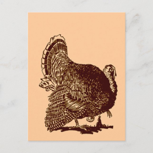 Thanksgiving Turkey Holiday Postcard (Front)
