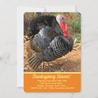 Thanksgiving Turkey Invitation