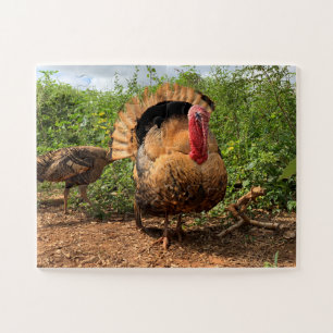 Thanksgiving Turkey Puzzle