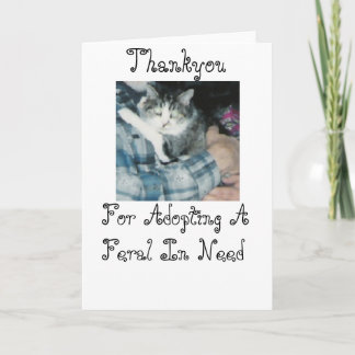 Thankyou-Feral Cat Thank You Card