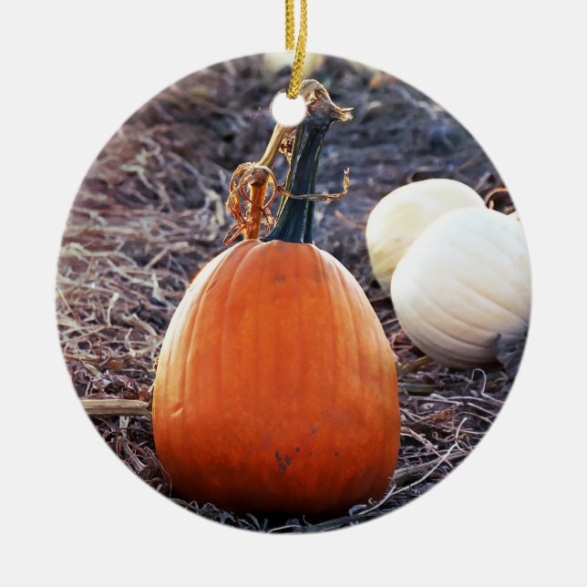 That Autumn Feeling Ceramic Ornament (Front)