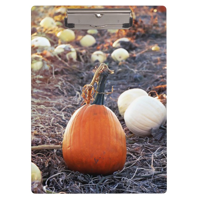 That Autumn Feeling Clipboard (Front)