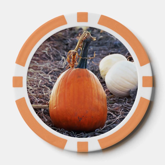 That Autumn Feeling Poker Chips (Front)