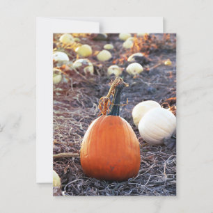 That Autumn Feeling Postcard
