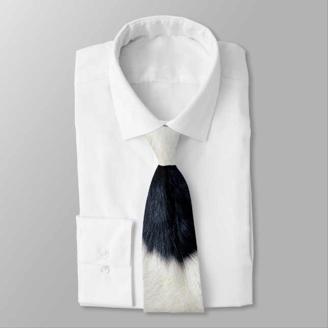 That Cow Thang Tie (Tied)