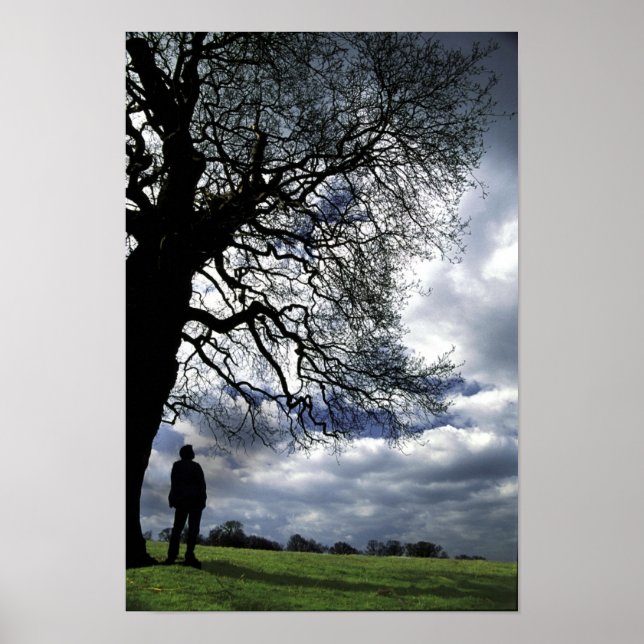 That Gone With The Wind Tree Poster (Front)