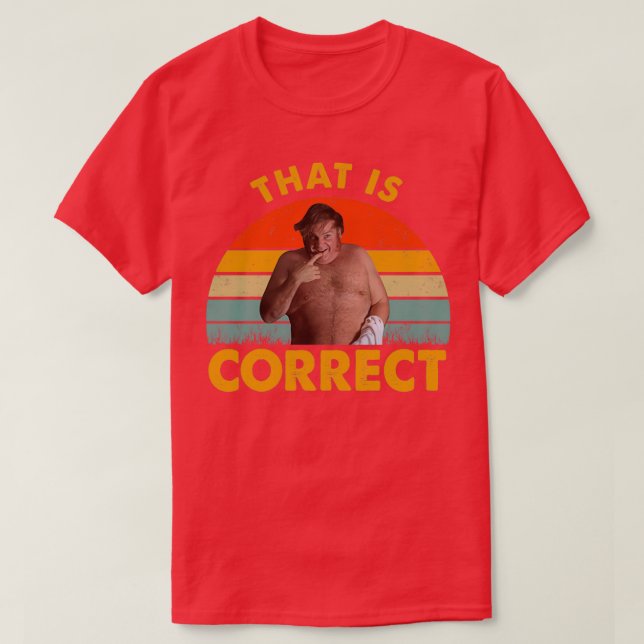 That Is Correct Shirts (Design Front)