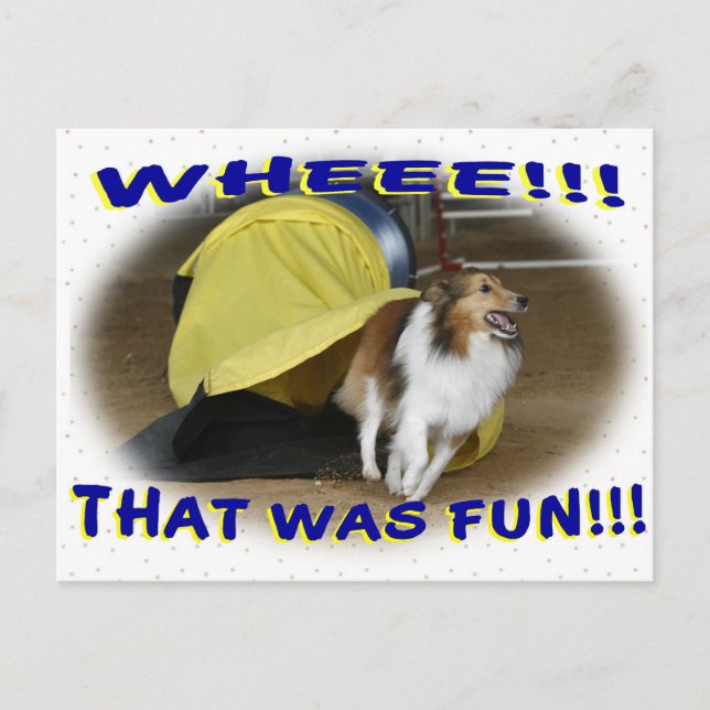 That was Fun Postcard (Front)