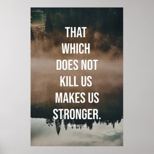 That which does not kill us makes us stronger. poster