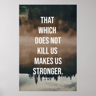 That which does not kill us makes us stronger. poster