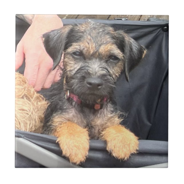 Thatch Ceramic Tile (Front)