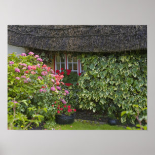 Thatched cottage, Adare, County Limerick, Poster