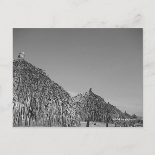 thatched postcards (Front)