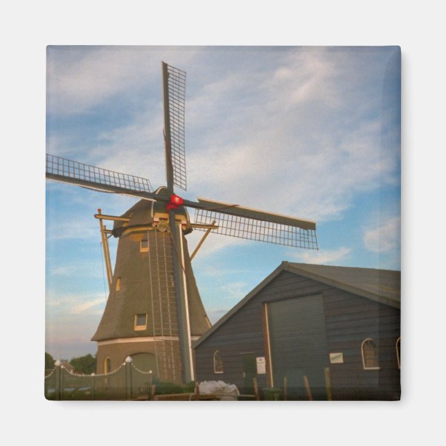 Thatched windmill in south Holland Magnet (Front)