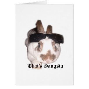 That's Gangsta