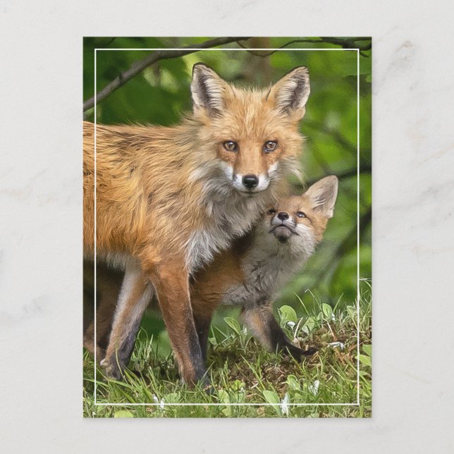 That's My Dad Postcard (Front)