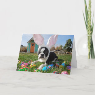 That's SOME bunny! Lola B. Boston Easter Card