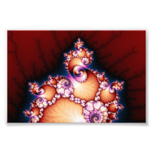 Thats The Point - Fractal Art Photo Print