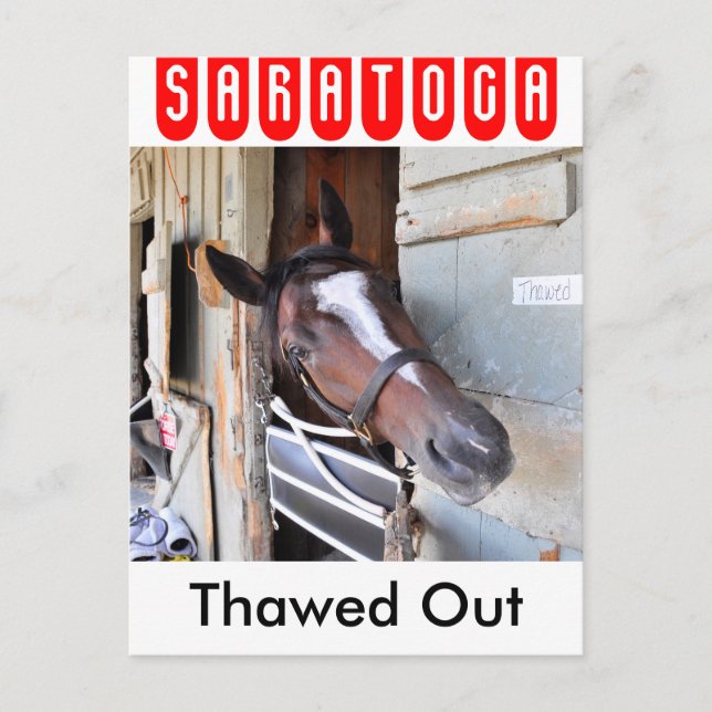 Thawed Out Postcard (Front)