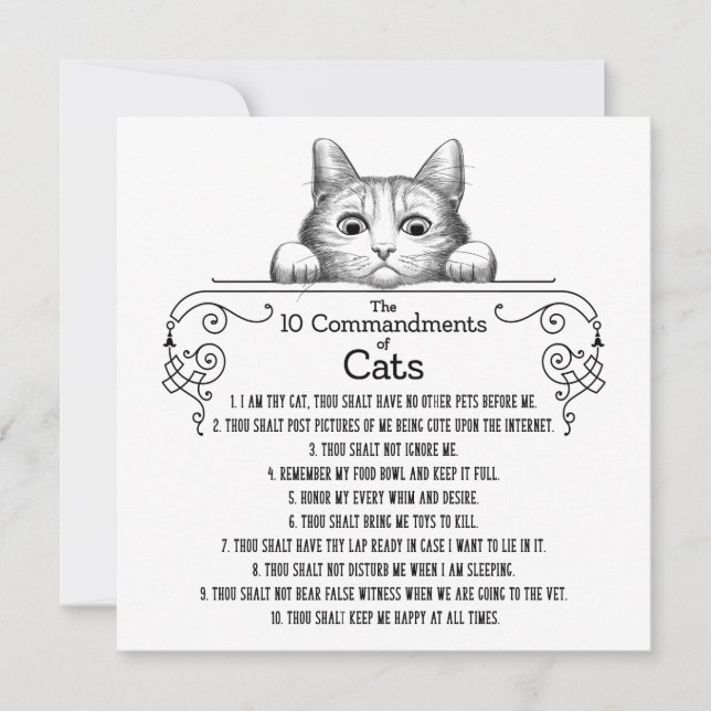 The 10 Commandments of Cats Funny Card (Front)