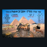 The 10 Plagues Of Egypt - English & Hebrew Poster<br><div class="desc">"Jewish Expressions, " offers a shopping experience as you will not find anywhere else. Welcome to our store. Tell your friends about us and send them our link:  http://www.zazzle.com/YehudisL?rf=238549869542096443*</div>