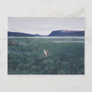 The 12 wild ducks 12 villender by Theodor Severin Postcard