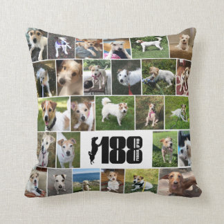 The 188 Rescue Group Poster Pillow
