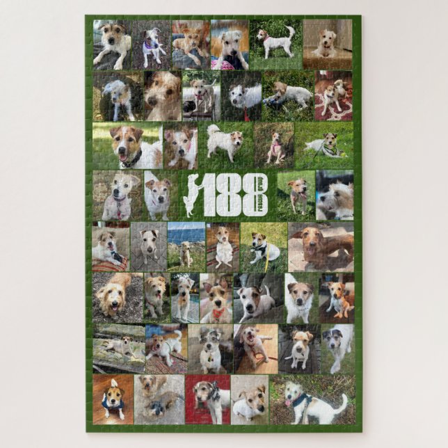 The 188 Rescue Group Poster Puzzle (Vertical)