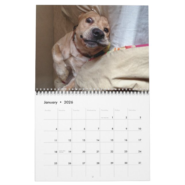 The 2013 "My Dog Dirk" Calendar (Jan 2026)
