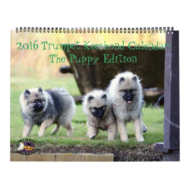 The 2016 Trumpet Keeshond Calendar : Puppy Edition (Cover)