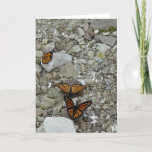 The 3 Butterflies All Occasions Card