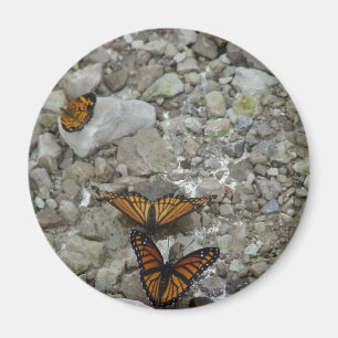 The 3 Butterflies Magnet