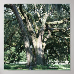 The 4 Seasons-Summer Poster