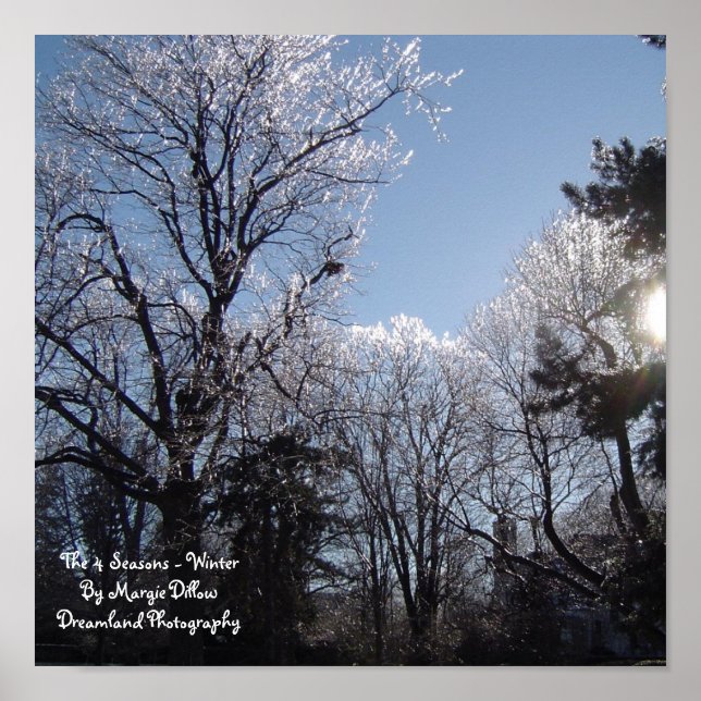 The 4 Seasons - Winter Poster (Front)