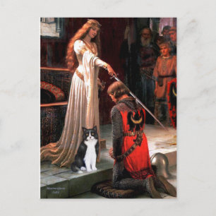 The Accolade - Black and White Cat Postcard