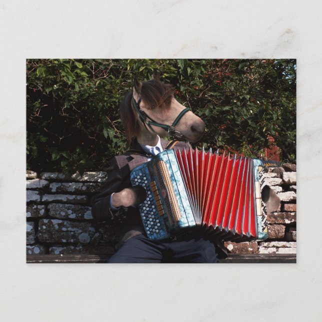 The accordian player postcard (Front)