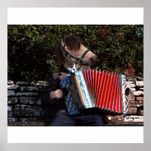 The accordian player poster