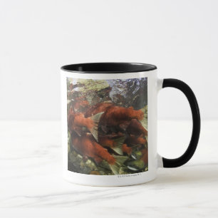 The Adams River sockeye run is one of the Mug