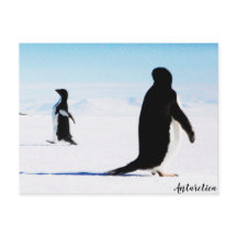 The Adélie Penguin Dancer and Friend