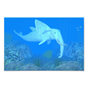 The Adorable Whalphant Photo Print