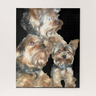 THE ADORABLE YORKY JIGSAW PUZZLE