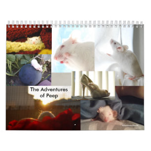 The Adventures of Peep Calendar